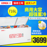 XINGX/星星 BD/BC-716E 大冰柜商用冷柜大型冷冻冷藏卧式单温雪柜