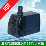 环保空调水泵 水帘机/水冷空调/冷风机专用潜水泵380V DYH-40