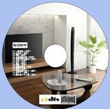 SONY 家庭影院试音碟 测试演示 发烧5.1声道 DTS CD 音乐碟 T239