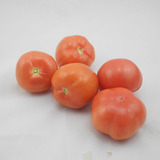 新鲜新款包装农家自种西红柿 番茄 山东有机蔬菜 自然熟不催红