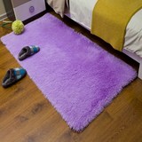 新款加厚丝毛卧室床边地毯飘窗地垫房间玄关门垫紫色可手洗不掉色
