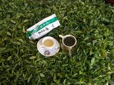 自产自销正宗崂山绿茶2015年特级新茶散装茶叶500g特价包邮