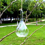 热卖悬挂玻璃球 空心植物吊瓶水滴花瓶玻璃工艺品 创意家居房间挂