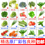 春秋季蔬菜种子套餐 阳台盆栽种菜四季播易种菜种子 家庭菜籽包邮