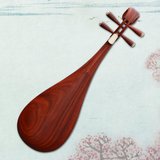 专业花梨抛光琵琶 弹拨民族乐器 成人琵琶 初学儿童红木考级演奏