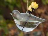 创意悬挂小鸟玻璃花瓶 透明水培花器 田园风家居装饰 插花工艺品