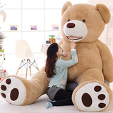 美国大熊 毛绒玩具熊 泰迪熊 超大号公仔抱抱熊生日礼物女布娃娃