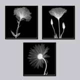 黑白花组合拼套画现代装饰画透明花卉印刷客厅卧室电表箱画框挂画