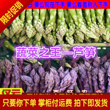 特价包邮进口芦笋种子 紫色芦笋种子 青芦笋种子 蔬菜之王