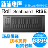 【新浦电声】 ROLI Seaboard RISE 25 三维 MIDI 控制器键盘 现货