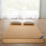 2016新款 地板软床垫 竹炭加厚床垫床褥床垫可折叠加厚榻榻米床垫