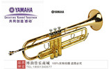 正品原装进口雅马哈小号乐器 YAMAHA YTR-2335S金色 正品保证包邮