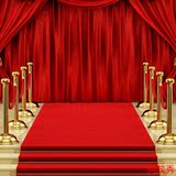 婚庆红地毯展会结婚用一次性庆典迎宾地垫室外开业楼梯地垫批发