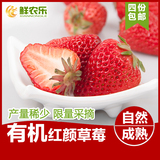 有机草莓350g/盒 丹东新鲜草莓水果奶油红颜 现摘现发4份顺丰包邮