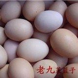 普通鸡蛋 新鲜养鸡蛋 净菜配送 生鲜配送 绿色蔬菜