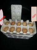 草鸡蛋快递淘宝泡沫包装箱/盒 鸭蛋咸鸭蛋礼品超市箱鸡蛋托批发