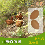 【山野百味园】陕西农家散养土鸡蛋深山新鲜纯天然柴鸡蛋20枚