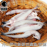 当天捕 新鲜野生豆腐鱼 虾潺 龙头鱼 龙头烤 九肚鱼 狗母鱼  500g