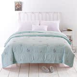 特价彩棉夏被 天然色彩环保全棉仿绣花空调被 纯棉1.8m双人床被毯