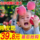 正宗烟台苹果山东特产栖霞红富士 应季农家新鲜水果送礼盒带皮吃
