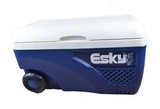 65L ESKY 户外休闲，海鲜，外卖配送车载冷热两用塑料保温冷藏箱
