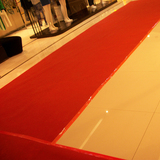 地毯一次性开业绿展览批发3米4米灰楼梯全国包邮整卷结婚庆加厚红