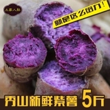 广西红薯 新鲜紫薯 地瓜农家自种有机种植小紫薯2500克包邮