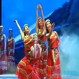 新款藏族少数民族广场舞演出服想西藏广场舞同款女装舞蹈秧歌服装
