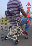 老年购物车手推车买菜四轮代步车老人带轮座推椅助行轻便可坐折叠