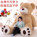 美国大熊毛绒玩具巨型超大泰迪熊2米娃娃公仔抱抱熊生日礼物闺蜜