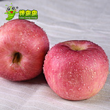 【馋虫虫】红富士苹果烟台栖霞苹果新鲜水果一级甜脆大苹果包邮