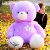 薰衣草小熊公仔可爱紫色抱抱熊抱枕超大泰迪熊毛绒布娃娃生日礼物