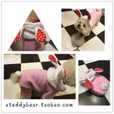 宠物四脚衣服加厚全棉小兔兔衣服泰迪比熊博美兔耳朵可爱衣服