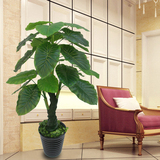 特价仿真植物装饰假花落地绿植套装花卉盆栽景客厅办公室滴水观音