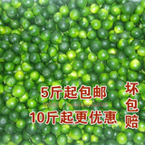 新鲜小青桔 越南青金桔 奶茶饮品原料 5斤起包邮 10斤起6.3元/斤