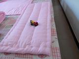 新棉花1.6*0.7米儿童学生垫被 单人薄褥子幼儿园开学用棉絮床垫