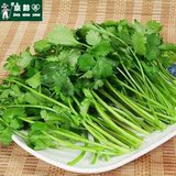 【京黔园】新鲜蔬菜香菜 芫荽 北京买菜同城配送到家