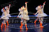 圣诞节儿童白天鹅演出服 弹力女童天鹅舞舞蹈服蓬蓬裙 咏鹅表演服