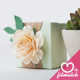 fitmatch欧式个性创意韩式田园浅绿高档结婚用品巧克力盒子喜糖盒