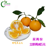 4月16日发货 蒲江青见不知火 丑柑橘 新鲜水果 五斤包邮