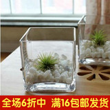 特价 水培花盆 水培花瓶 正方形玻璃水培瓶 方缸 一级玻璃器皿