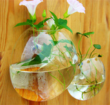 悬挂壁挂饰透明插花绿萝水培花瓶玻璃小鱼缸创意家居墙上花盆