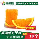 苏洪鲜食美国新奇士脐橙10个约250g/个晚季黑标橙子进口新鲜水果