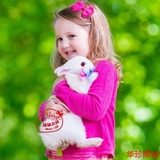 自家繁殖宠物兔子活体纯种迷你兔宝宝侏儒兔小白兔包邮送运输笼A