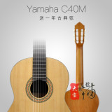 大宝乐器 Yamaha 雅马哈C40M 合板古典吉他 豪华礼包