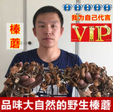 2015年新蘑菇 黑龙江五常干货 东北特产 野生针磨 榛蘑小鸡炖蘑菇