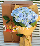 自然风格小花束盒子花束蓝绣球粉绣球花束情人节花束送天津北京