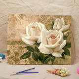 植物花卉DIY数字油画 大幅手工情侣风景客厅卧室装饰画 特价包邮