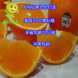美国新奇士3107黑标橙进口橙子新鲜水果10个约2200克左右包邮