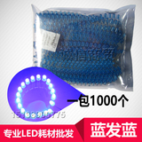 LED电子灯箱专用蓝色发光二极管 热卖 连体免焊高亮蓝发蓝LED灯珠